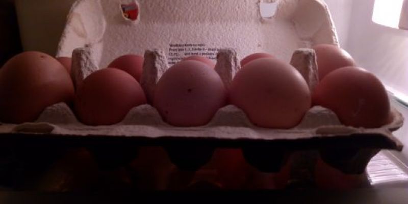 Jak poznat čerstvá vejce?